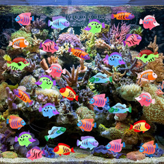 36Pcs Plastic Tropical Mini Fish Toy Set for Children’S Party Supplies and Decor
