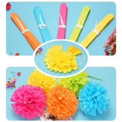 Colorful Paper Party Decorations, Tissue Paper Flower&Party Pom Poms wth Swir…