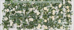 2 Pack 13Ft Artificial Eucalyptus Flower Garland with White Roses, Fake Rose