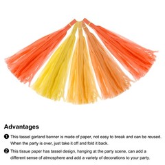 20Pcs Colourful Tassel Garland Banner with Rope