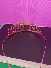 Copper Gold “Retired” Rhinestone Tiara & “I’m Retired!” Sash New