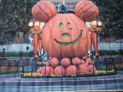 Halloween Pumpkin Mickey Mouse Party Background 7ft X 5ft Picture Backdrop New