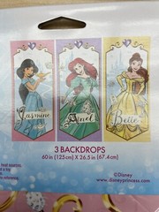 Disney princess photo booth kit