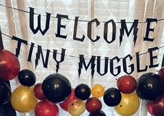 Harry Potter Baby Shower Banner and Party Supplies Welcome Tiny Muggle