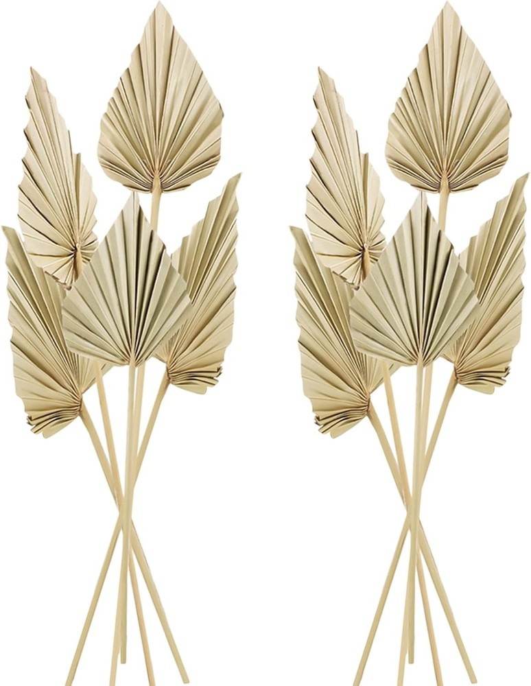 Cenkaiyang 10 Pcs Boho Dried Palm Spears Leaves, Real Fans with Natural