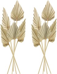 Cenkaiyang 10 Pcs Boho Dried Palm Spears Leaves, Real Fans with Natural