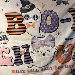 Boo-y or Ghoul baby shower backdrop. 7ft x5ft Halloween