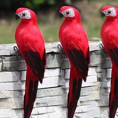 Simulation Feather Macaw Garden Home Decoration Fake Bird