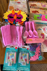 Dinosaur Birthday Party Lot Assorted Accessories Multicolor