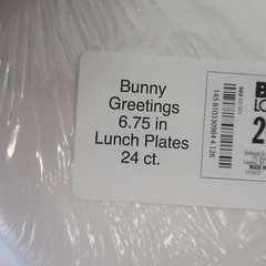 Large Easter Spring Bunny Party Supply Lot Napkins plates table cloths Bags Pan