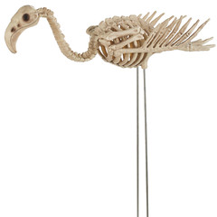Flamingo Skeleton 27 In – Seasons