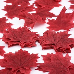 Whaline 300Pcs Fall Artificial Maple Leaves 2.95-3.35 inches, Multicolored