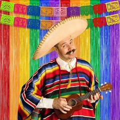Cinco de Mayo Decorations Fiesta Party Decorations Foil Fringe Curtains Backd…