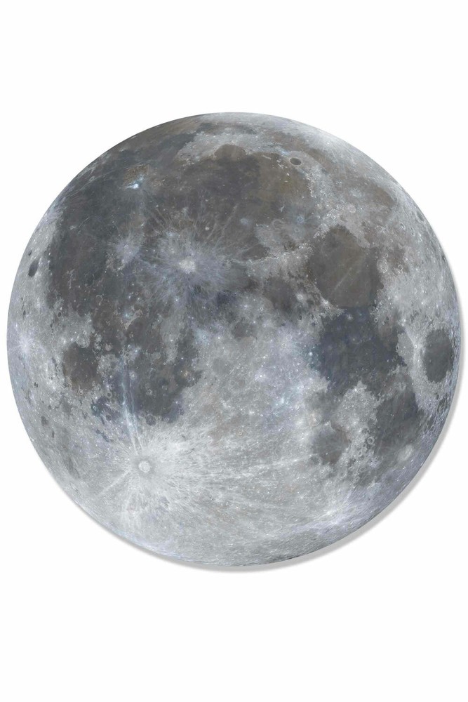 Full Moon Wall Mounted 3D Effect Cardboard Cutout – 3ft Diameter