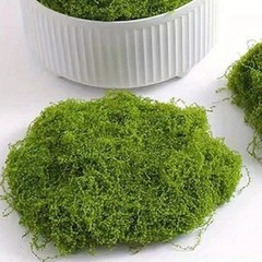 Natural 500g Artificial Moss for DIY Crafts Garden and Indoor Decoration