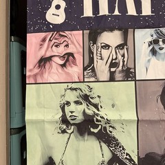 Taylor Swift Happy Birthday Banner Celebration Wall Hanging 38X56” Era Tour