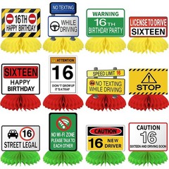 16th Birthday Driver License Party Decorations 12 Pcs Novelty License Set